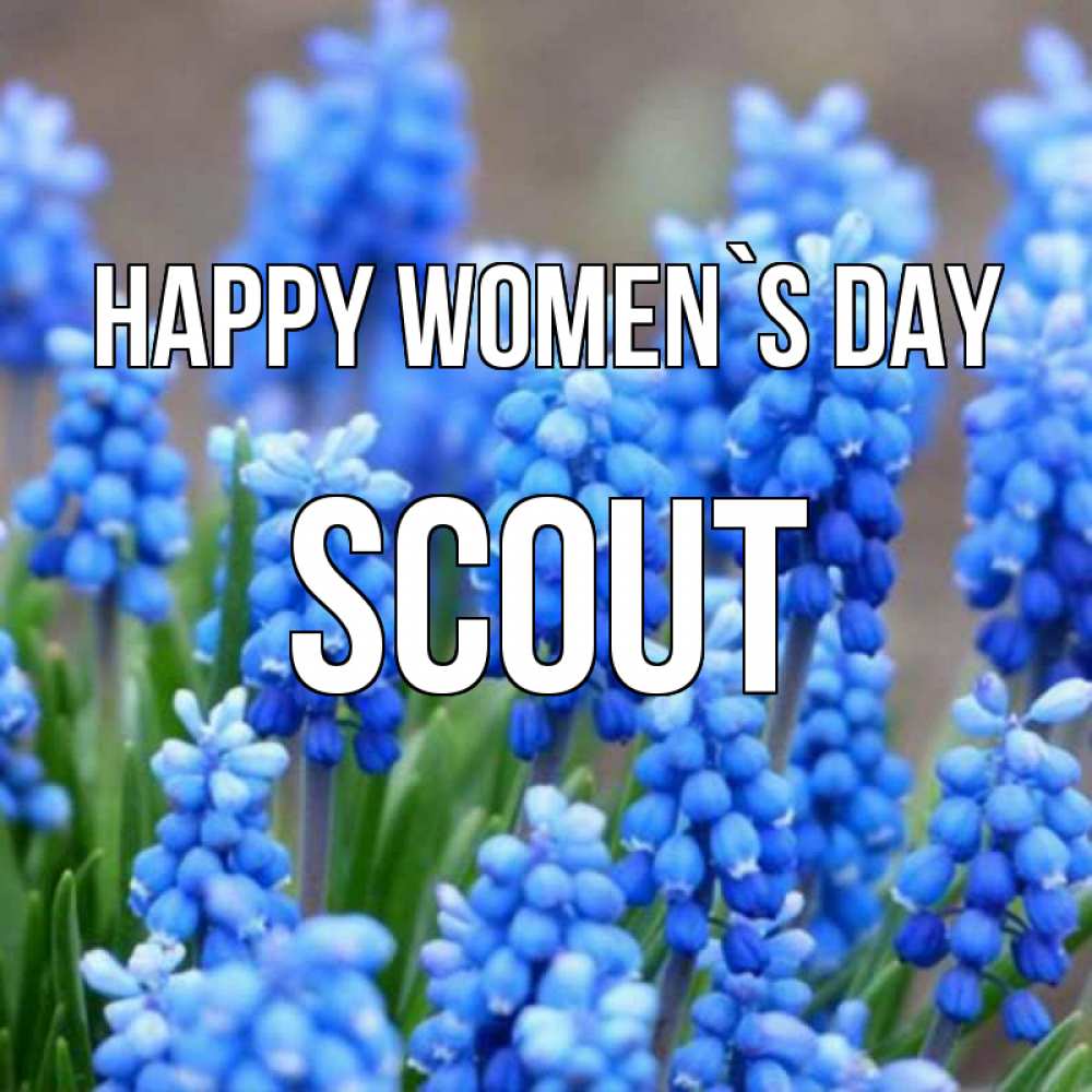 Greetings card с именем, Scout happy women`s day Поздравительная открытка для женщин с цветами на праздничную дату Greetings with text for free download 